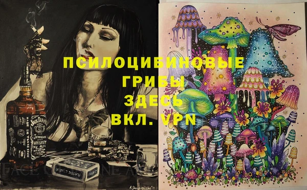 шишки Алексин