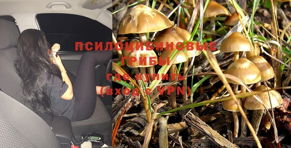 шишки Алексин